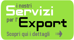 Servizi Export